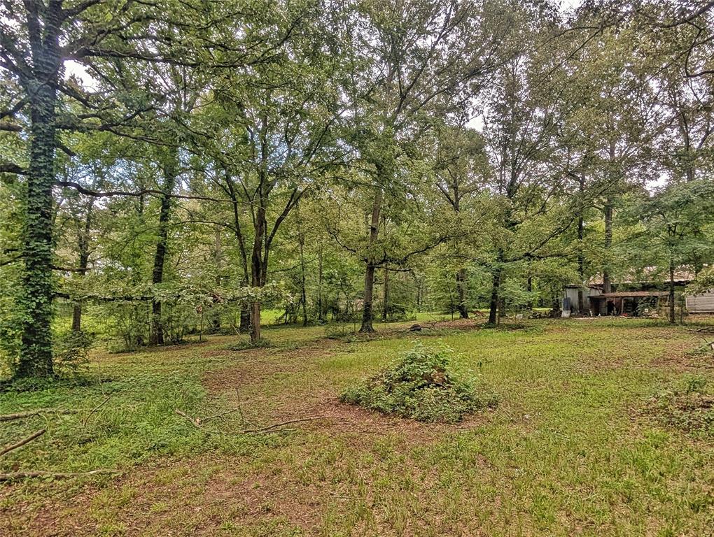 6943 Alvin York Lane Property Photo 8