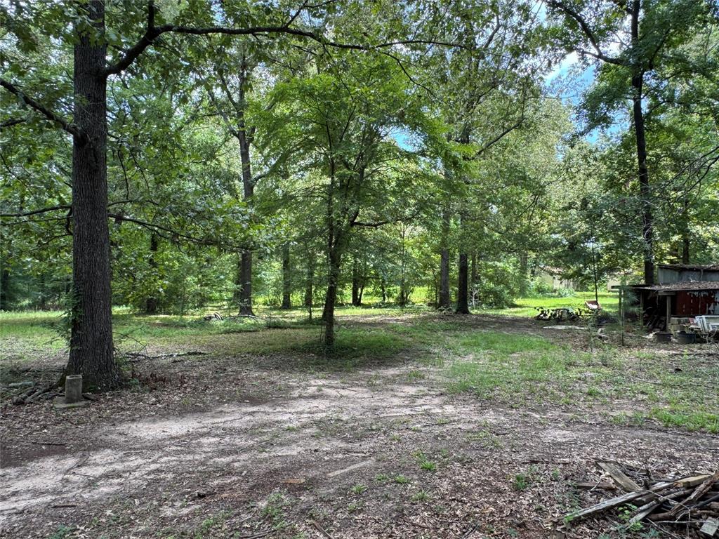6943 Alvin York Lane Property Photo 9