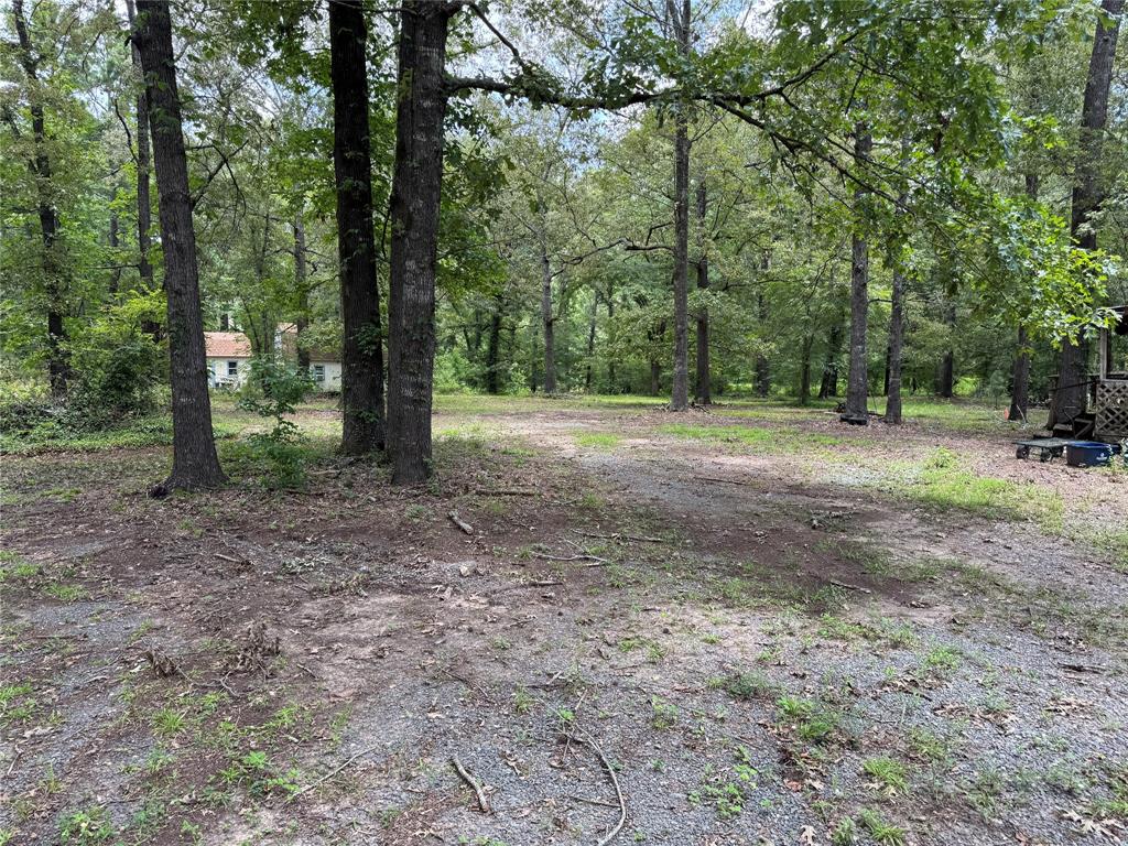 6943 Alvin York Lane Property Photo 10