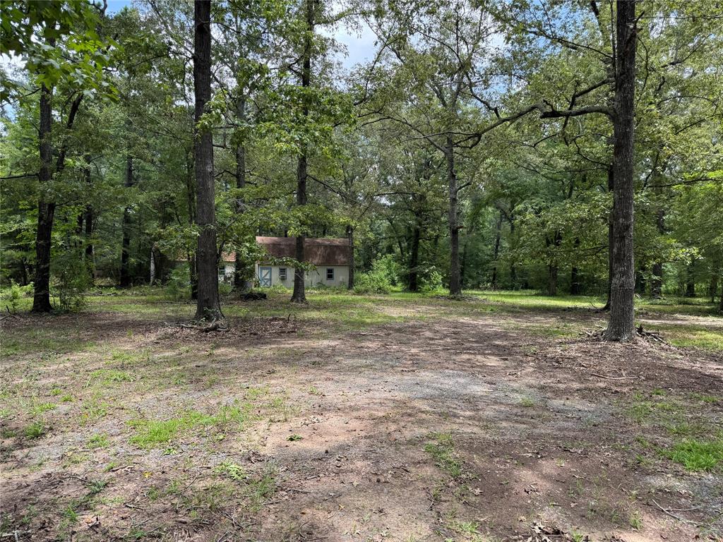 6943 Alvin York Lane Property Photo 12