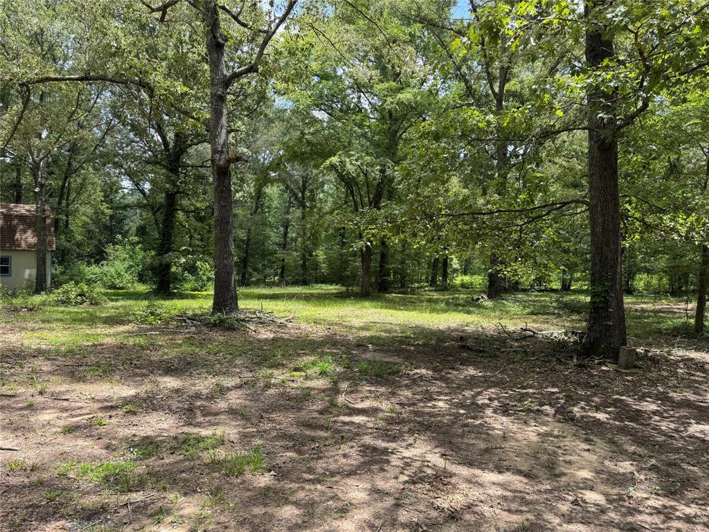 6943 Alvin York Lane Property Photo 13