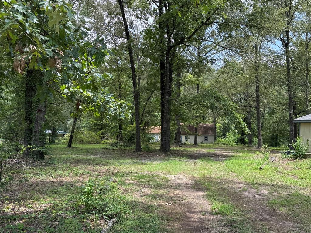 6943 Alvin York Lane Property Photo 14