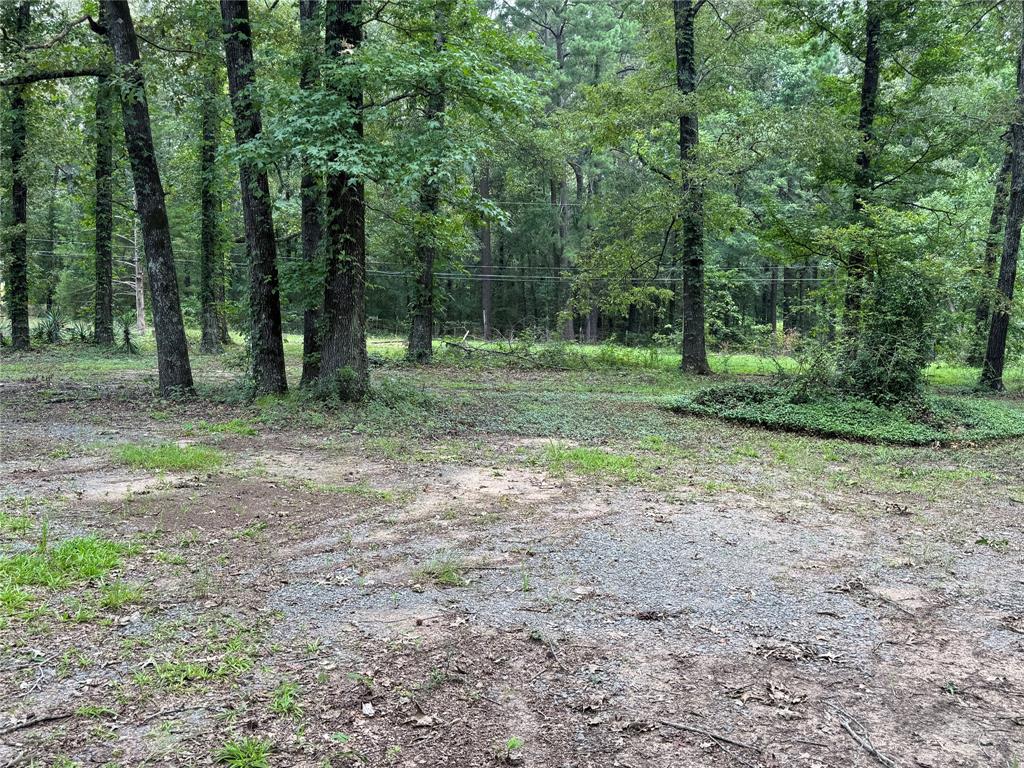 6943 Alvin York Lane Property Photo 15