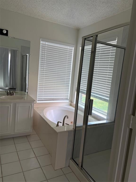 10404 Preston Vineyard Drive Property Photo 6