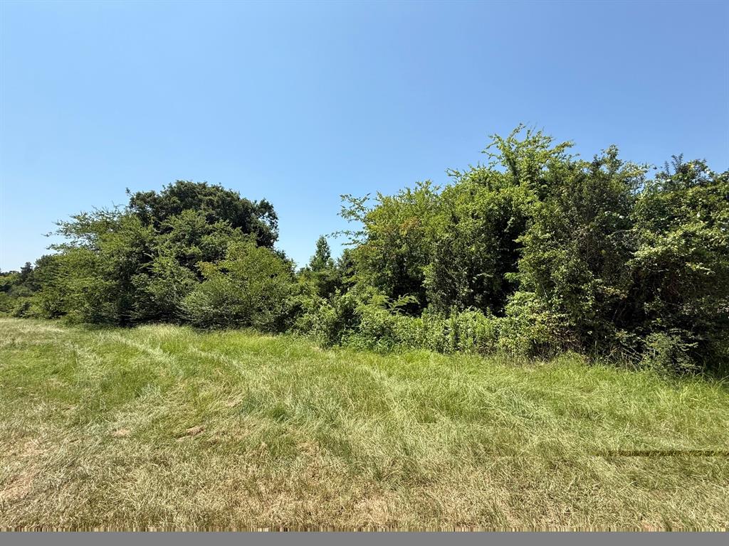 Tbd Fm 2152 Property Photo 1