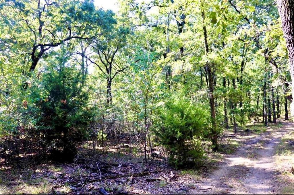800 Trosper Trace Property Photo 3