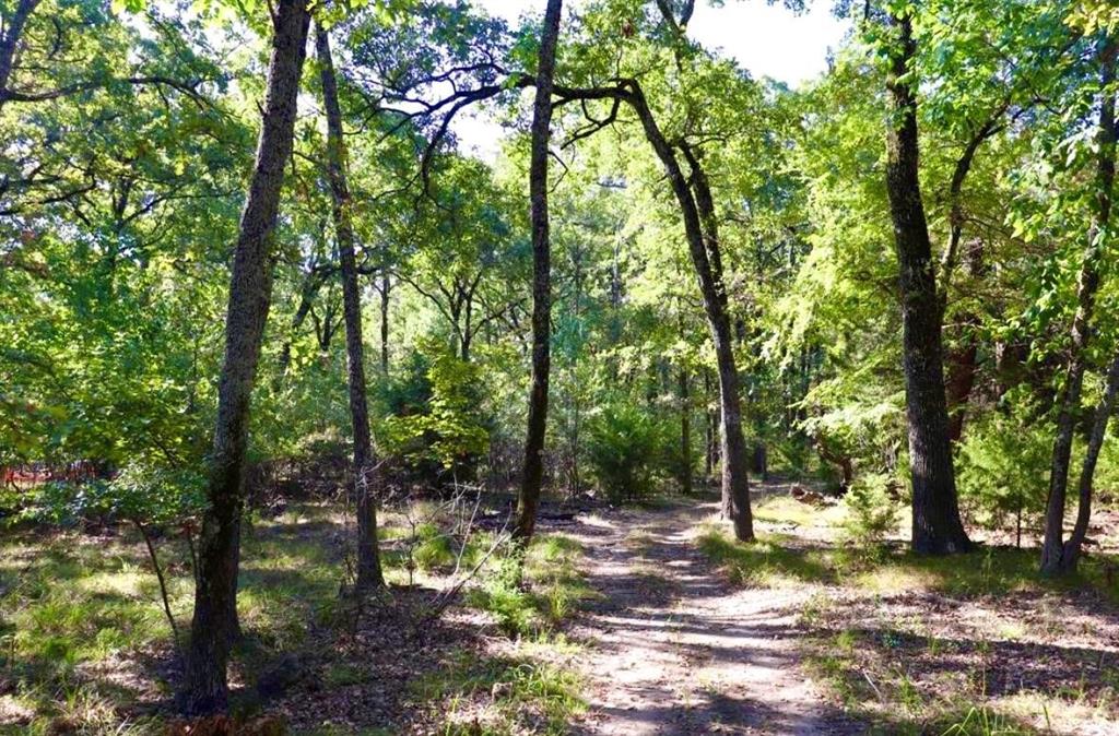 800 Trosper Trace Property Photo 4