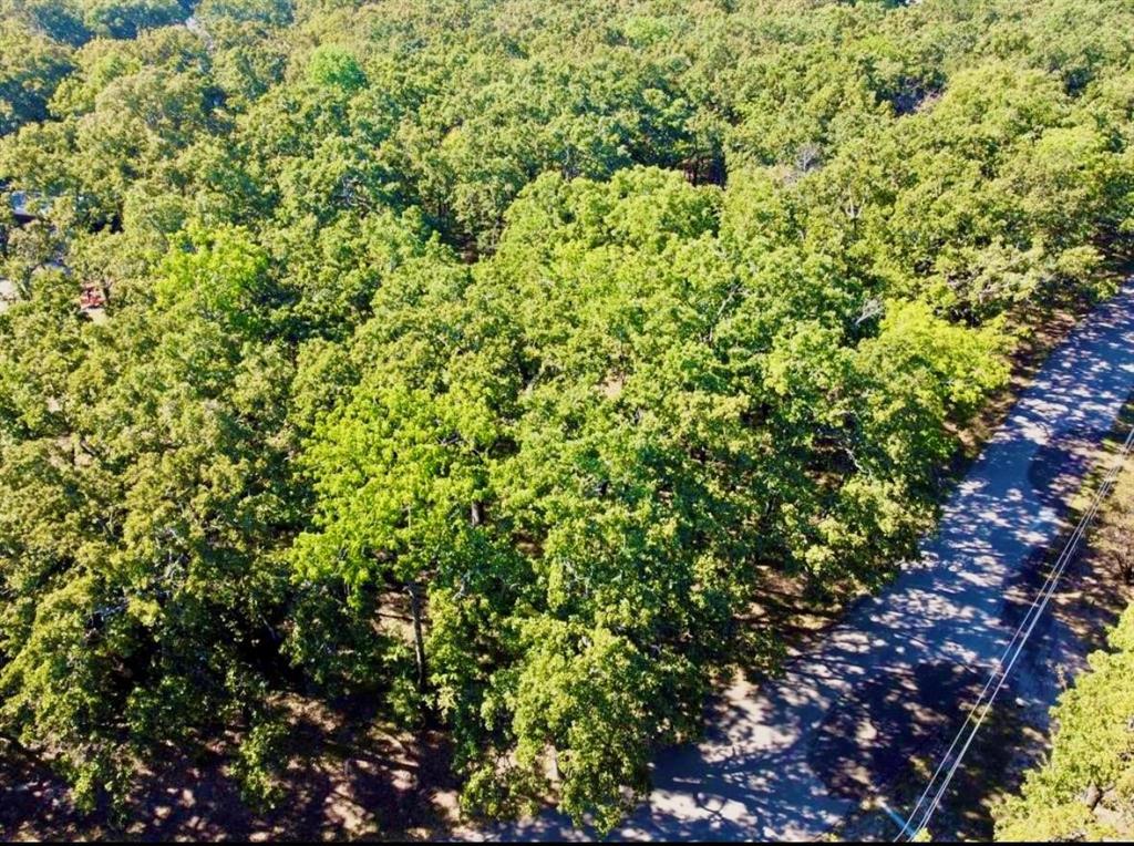 800 Trosper Trace Property Photo 5