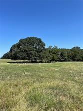 Tbd Cr 2150 Property Photo 2