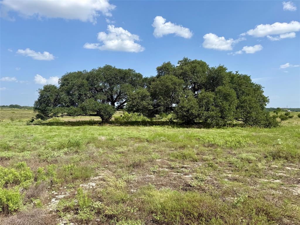 13ac Tbd Pr Fm 2905 Property Photo 1