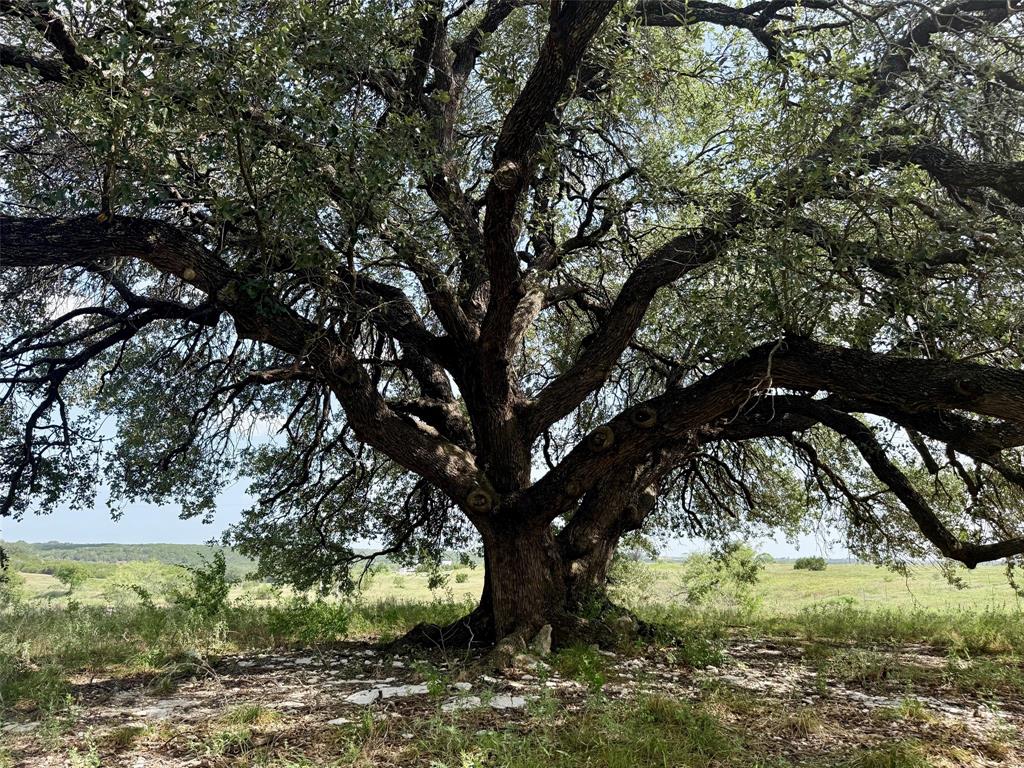 13ac Tbd Pr Fm 2905 Property Photo 3