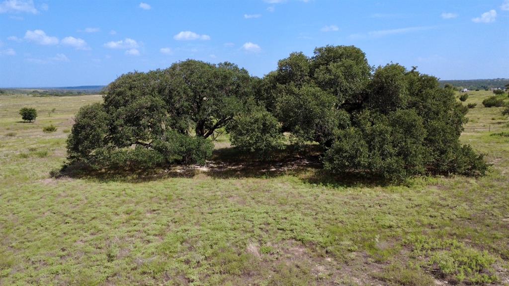 13ac Tbd Pr Fm 2905 Property Photo 8