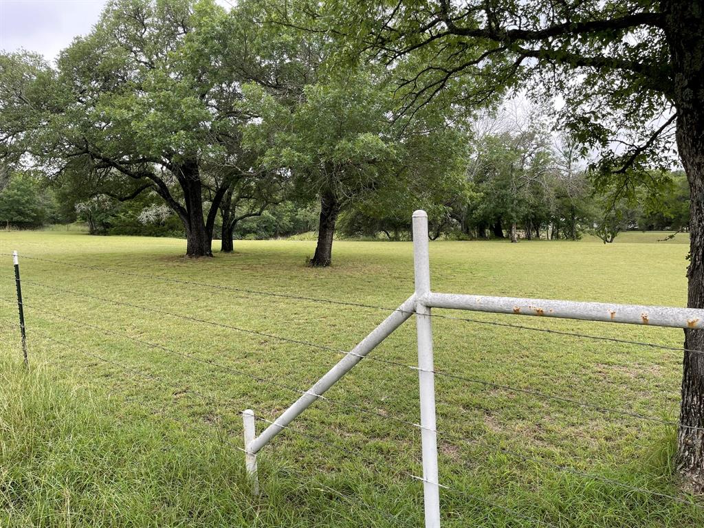 296 E Bluff Springs Road Property Photo 10