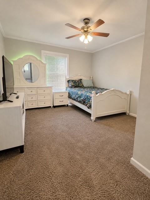 2578 Crape Myrtle Street Property Photo 10