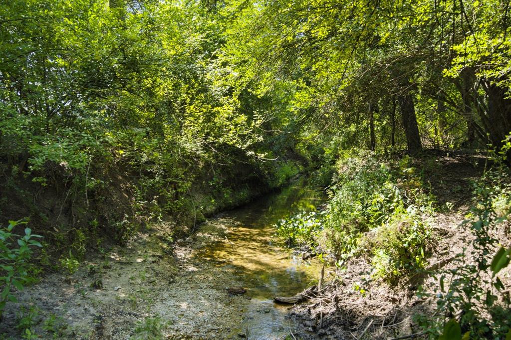 Tbd Fm 216 89 Property Photo 15
