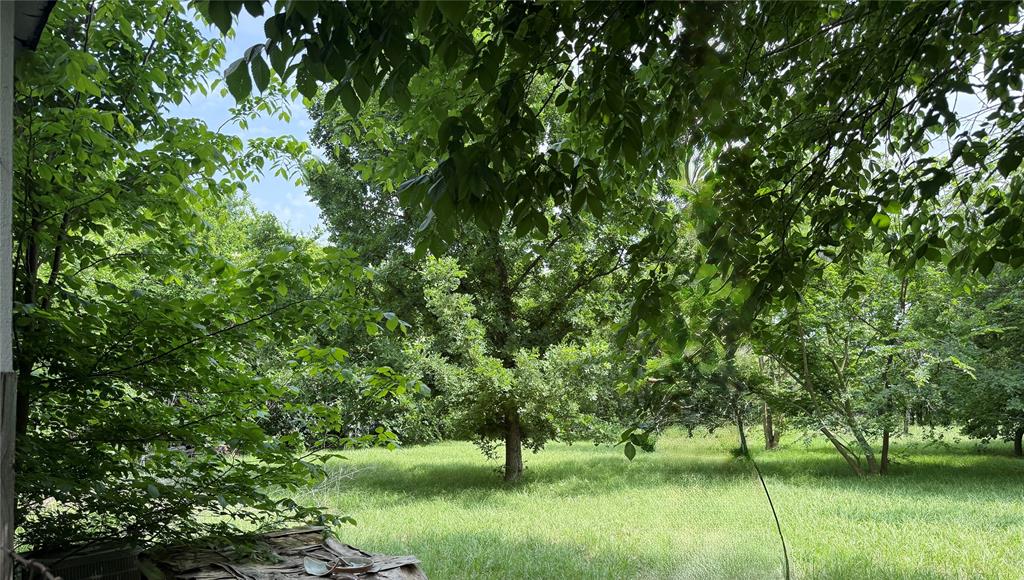 902 Quail Run Property Photo 2