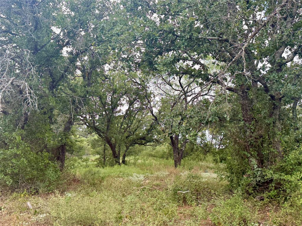 405 County Road 102 Property Photo 3