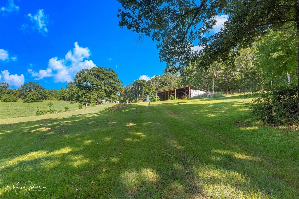 113 Breezy Road Property Photo 24