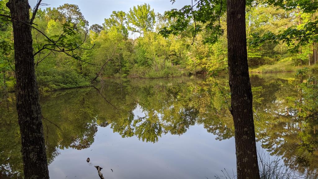 113 Breezy Road Property Photo 27