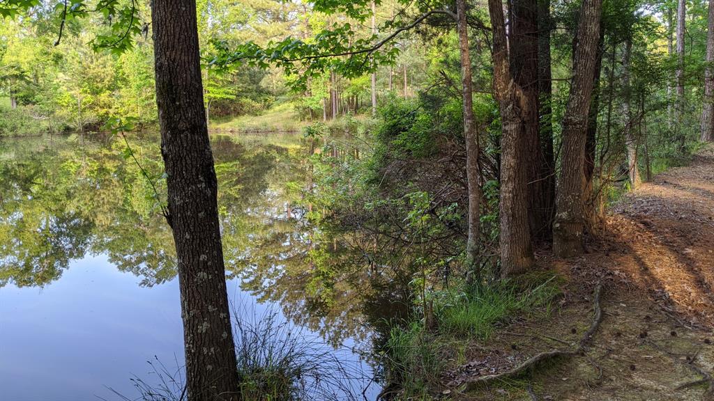 113 Breezy Road Property Photo 28