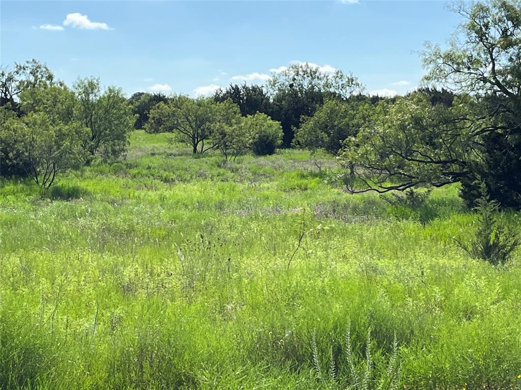 3588 N US Highway 281