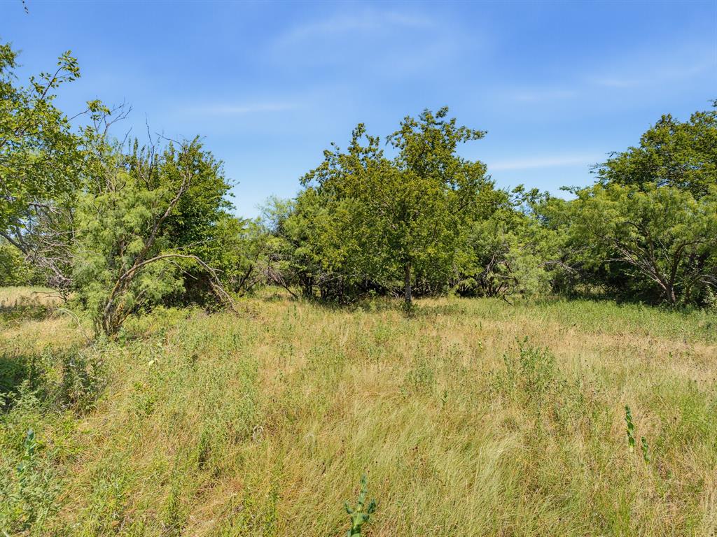 Tbd 59+/- Acres Applegate Rd Property Photo 9