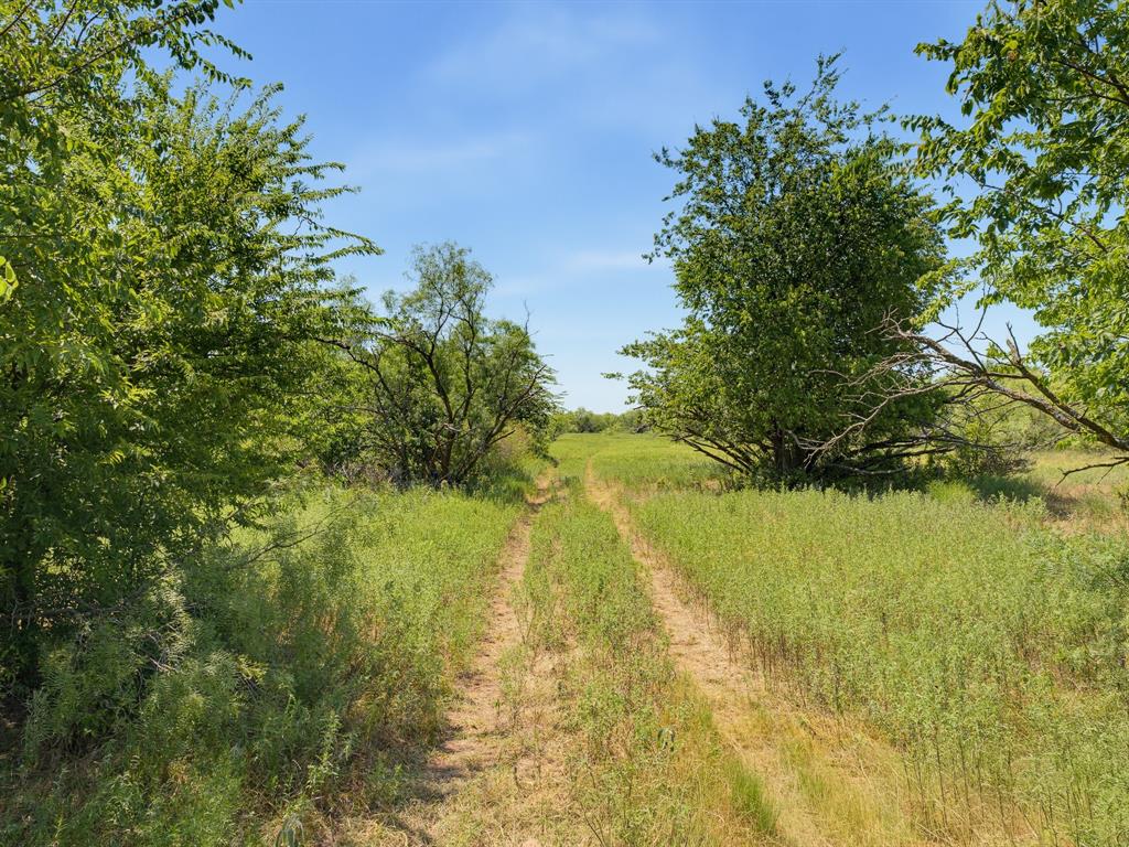 Tbd 59+/- Acres Applegate Rd Property Photo 12