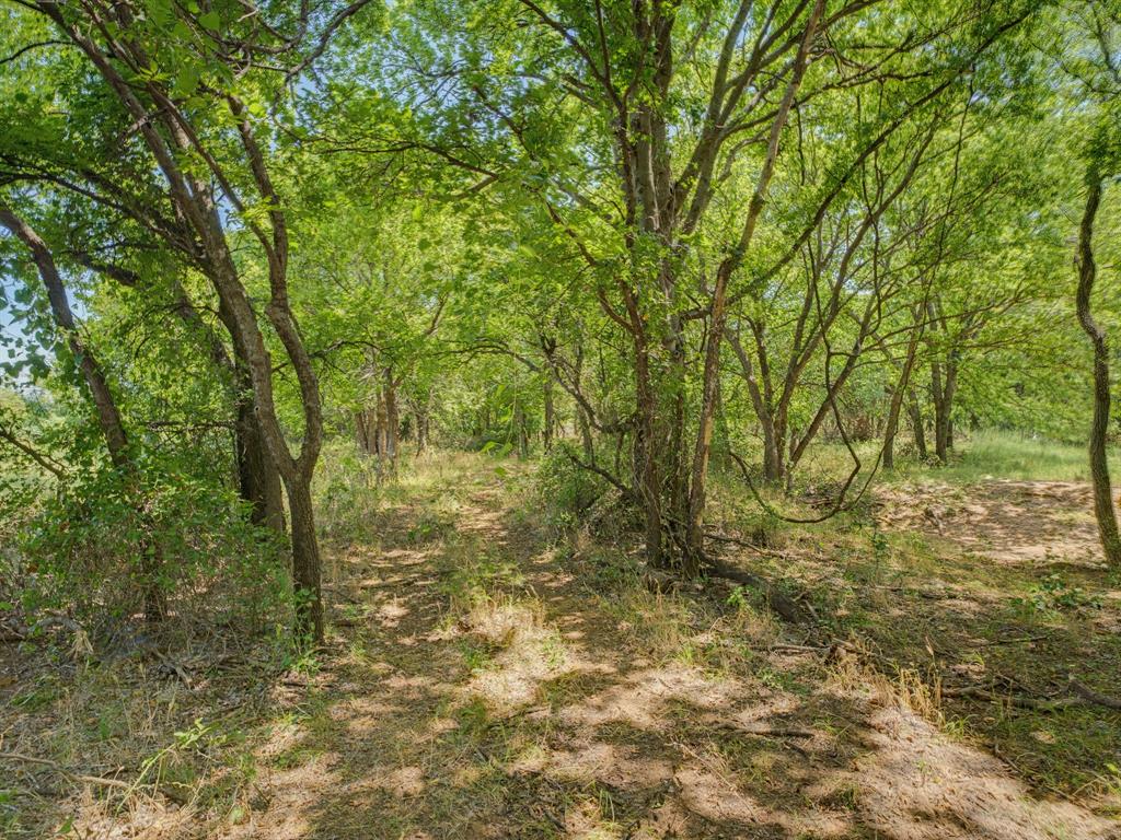Tbd 59+/- Acres Applegate Rd Property Photo 16