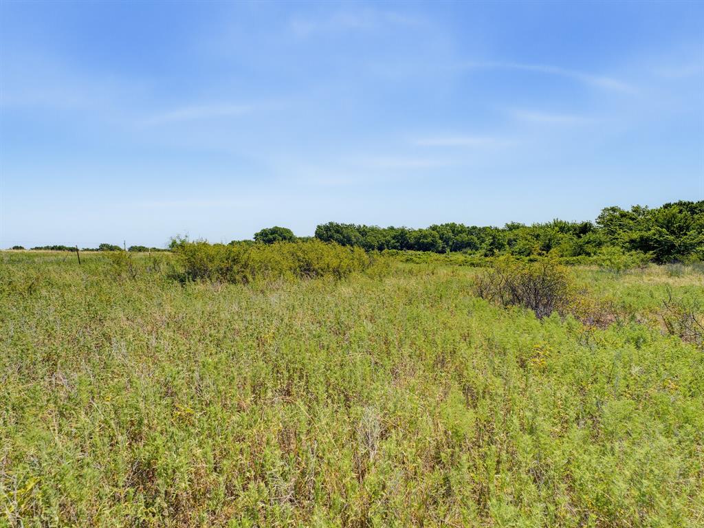 Tbd 59+/- Acres Applegate Rd Property Photo 29