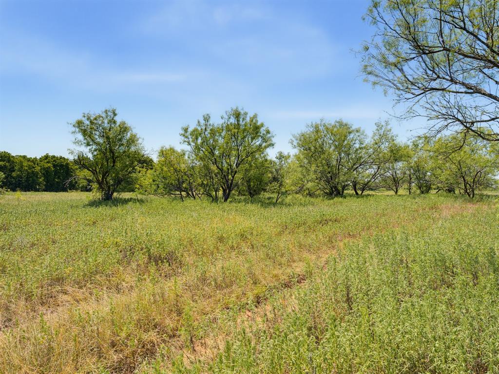 Tbd 59+/- Acres Applegate Rd Property Photo 35