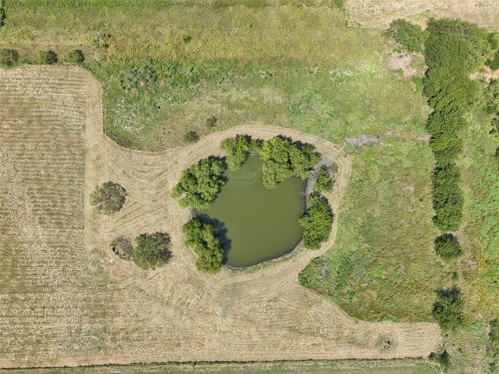 1521 County Road 1107b Property Photo 5