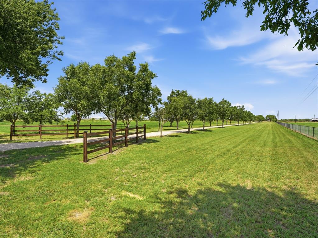 1521 County Road 1107b Property Photo 9