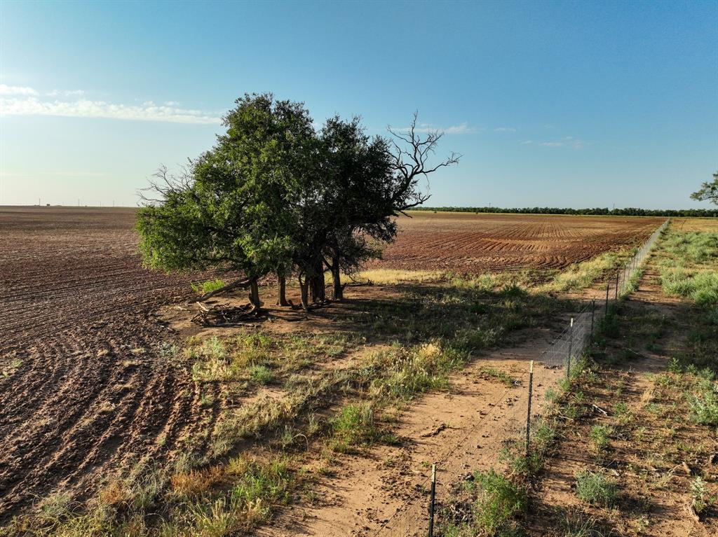 80 4220 County Road Property Photo 2