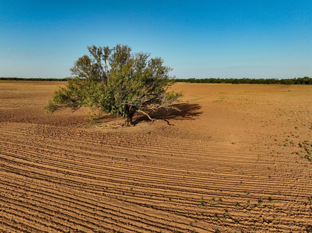 80 4220 County Road Property Photo 9
