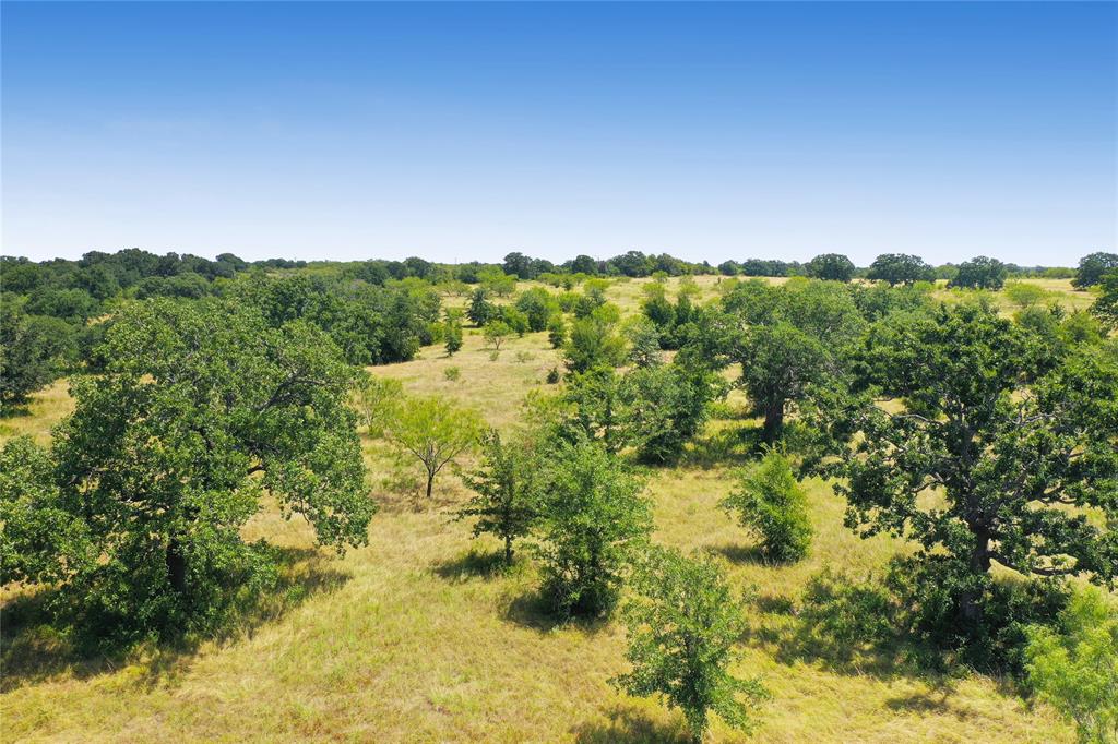 71.63 Acres Slusher Rd Property Photo 6