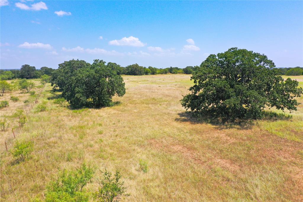 71.63 Acres Slusher Rd Property Photo 10