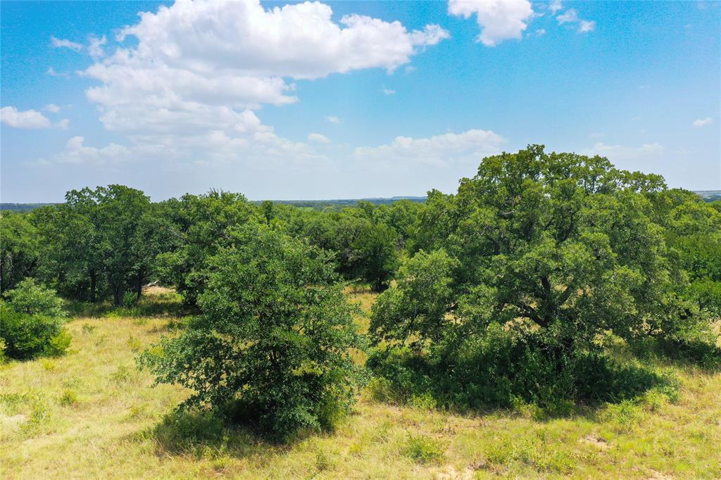 71.63 Acres Slusher Rd Property Photo 20