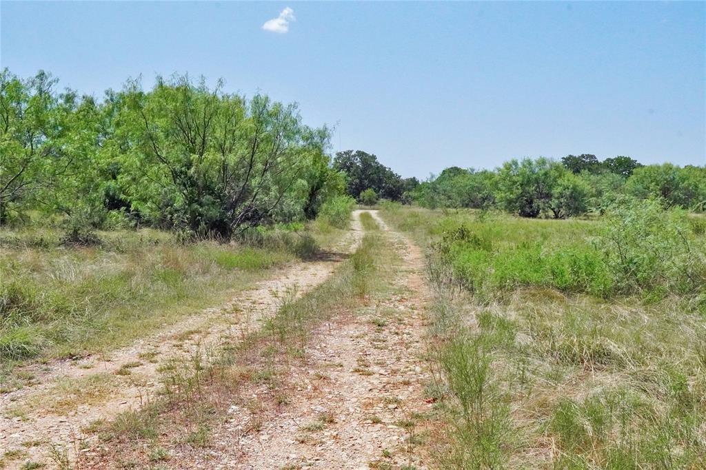 71.63 Acres Slusher Rd Property Photo 22