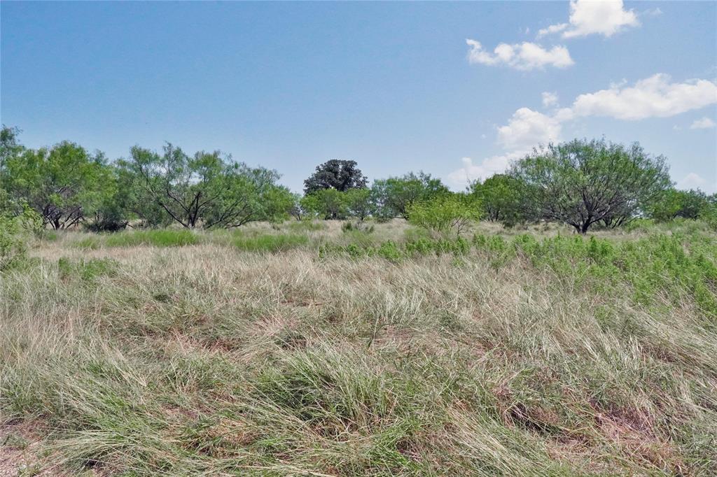 71.63 Acres Slusher Rd Property Photo 23