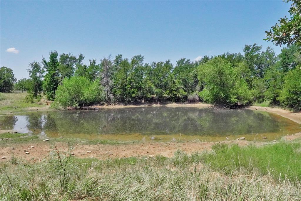 71.63 Acres Slusher Rd Property Photo 24