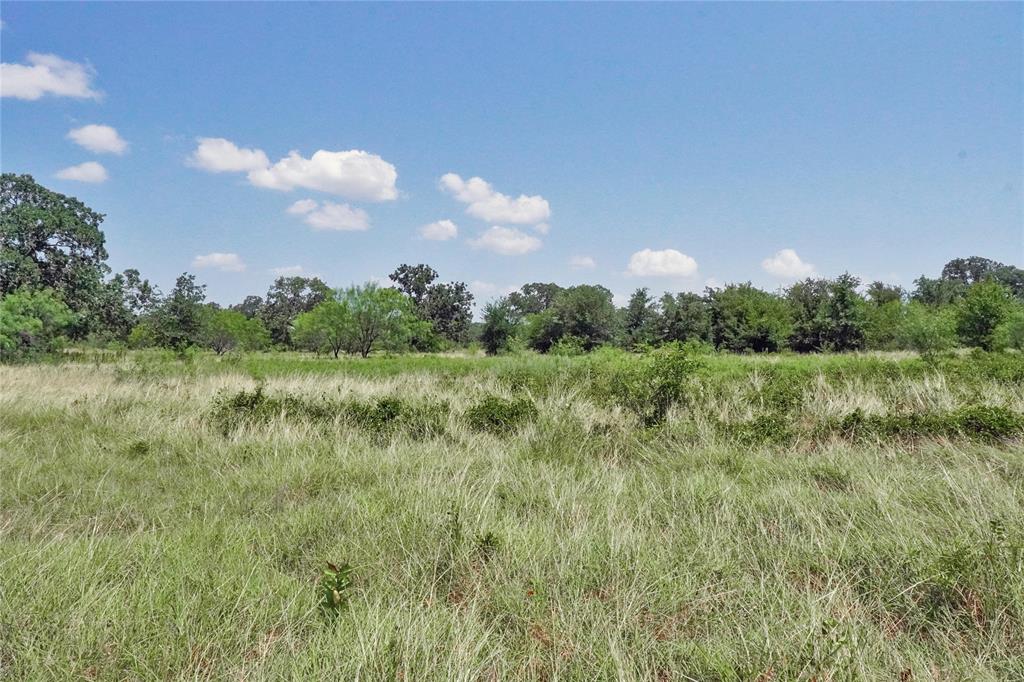 71.63 Acres Slusher Rd Property Photo 25