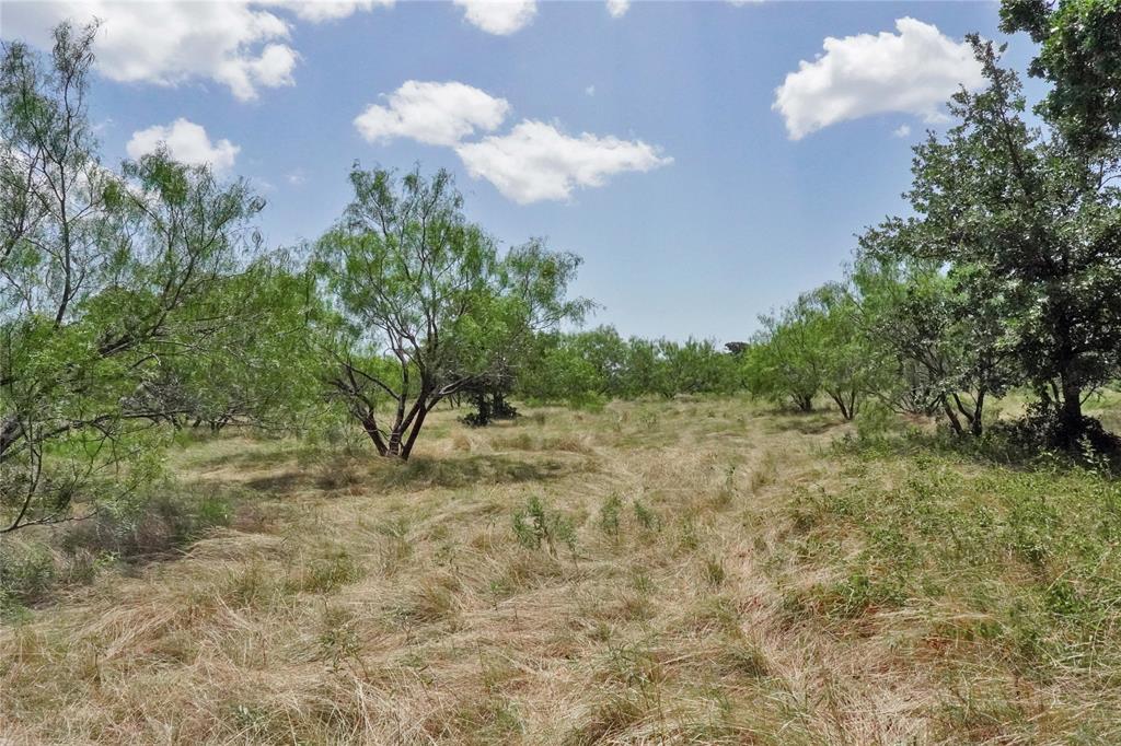 71.63 Acres Slusher Rd Property Photo 26