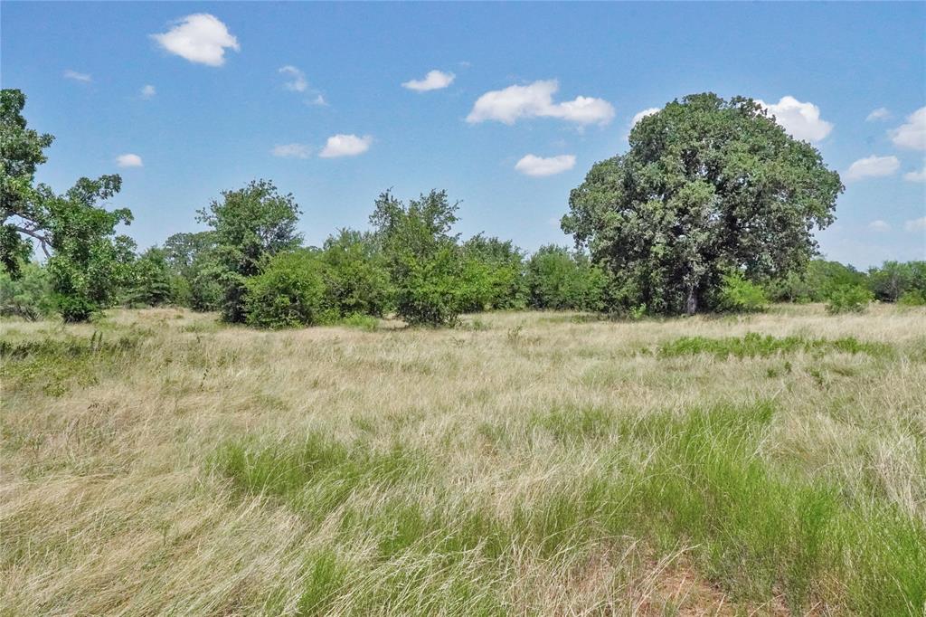71.63 Acres Slusher Rd Property Photo 27