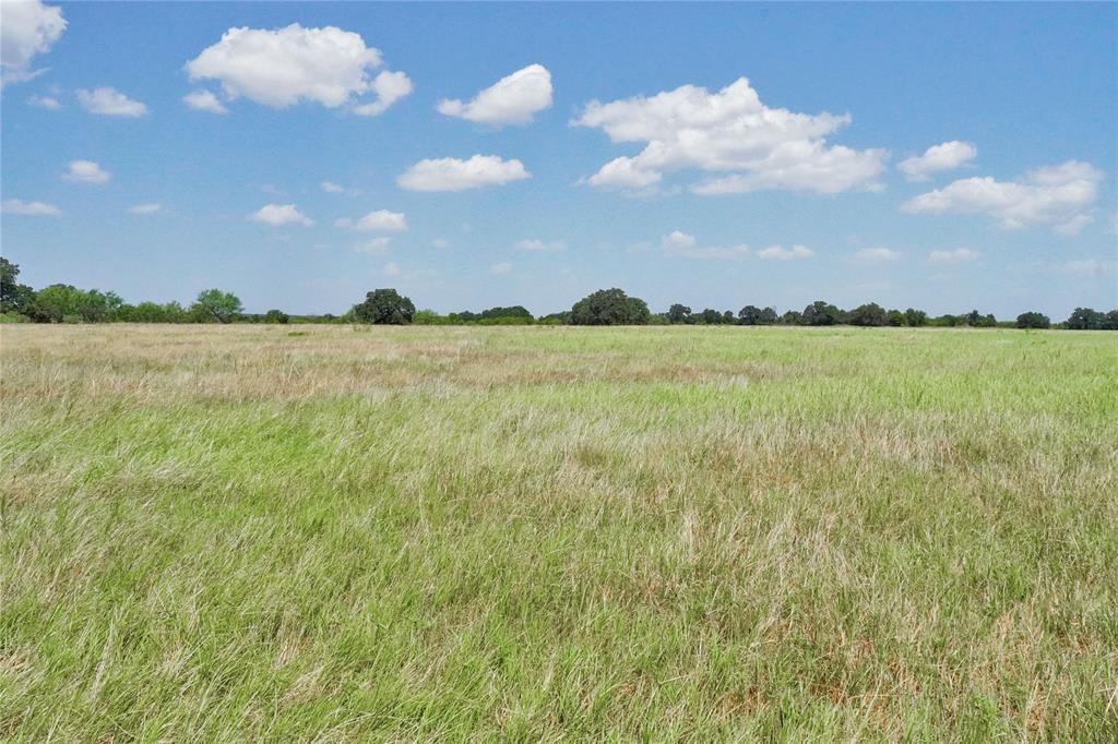 71.63 Acres Slusher Rd Property Photo 28