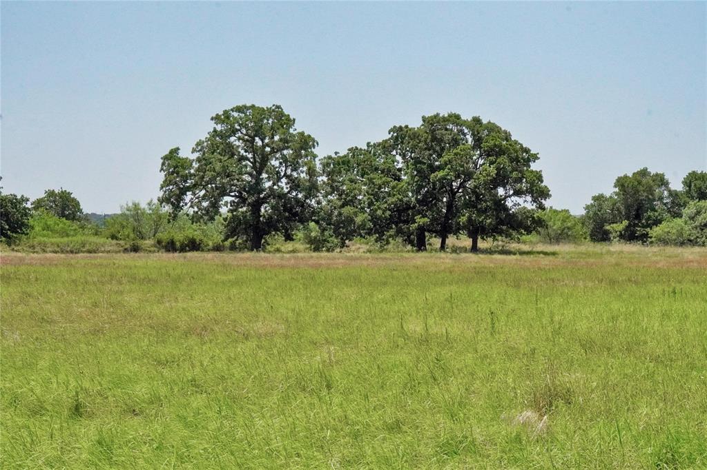 71.63 Acres Slusher Rd Property Photo 29