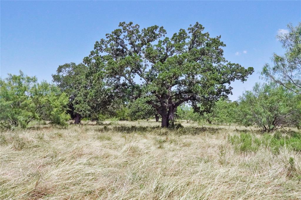 71.63 Acres Slusher Rd Property Photo 31