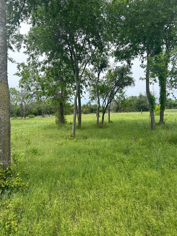 Tbd Round Up Court Property Photo 3