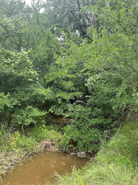 Tbd Round Up Court Property Photo 10