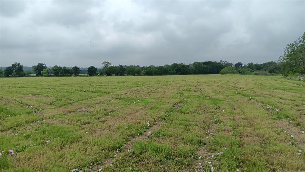 Tbd. Hwy 7 Property Photo 3
