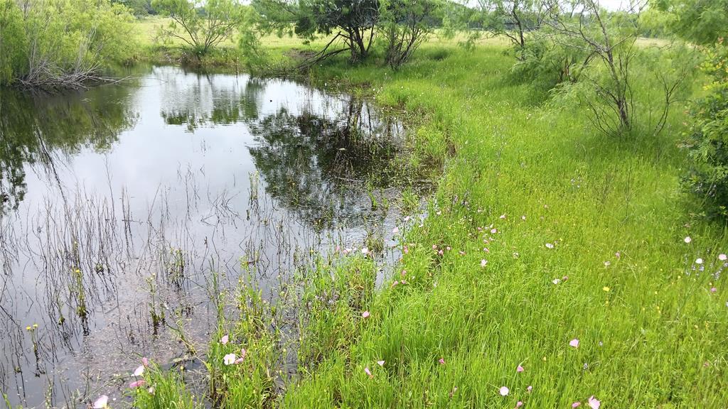 Tbd. Hwy 7 Property Photo 7